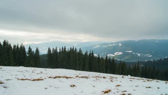 Winter Forest and Mountain Landscape