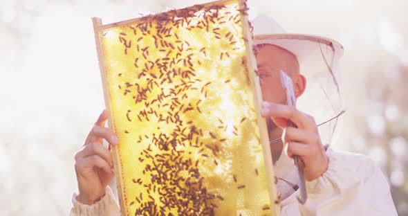 Young Male Bearded Beekeeper in White Protective Suit with a Bee Hive Tool in Hand Inspects a