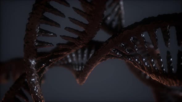 Loop Double Helical Structure of Dna Strand Close-up Animation