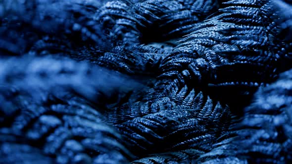 Seamless looping animation of fern leaves at night in the blue light of the moon