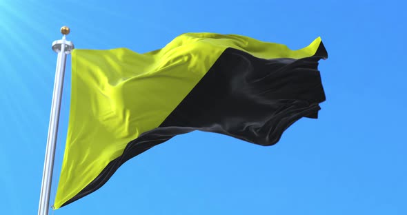 Anarcho Capitalism Flag