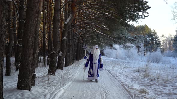 Santa Claus in a beautiful forest