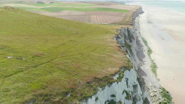 Cinematic Aerial View of Rural Cliff in France with Bird Passing and Ocean View