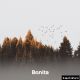 Bonita