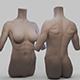 Female Torso Basemesh - 3DOcean Item for Sale