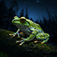 Evening Calls of Mountain Frogs in the Jungle 2