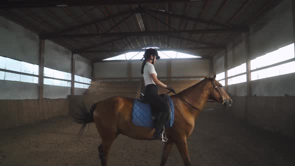 Young Woman Gets on a Horse and Riding a Horse in a Covered Hangar, Female Trains Riding on a Horse.