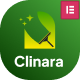 Clinara - Cleaning Services WordPress Theme - ThemeForest Item for Sale