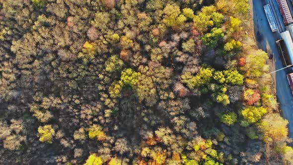 View of the autumn forest in the from a height on expansive landscape of deciduous forest