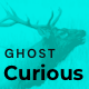 Curious - Blog and Magazine Ghost Theme - ThemeForest Item for Sale