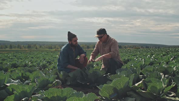 Farm Owner Talking To New Worker