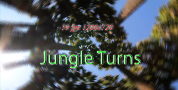 Jungle  Turns