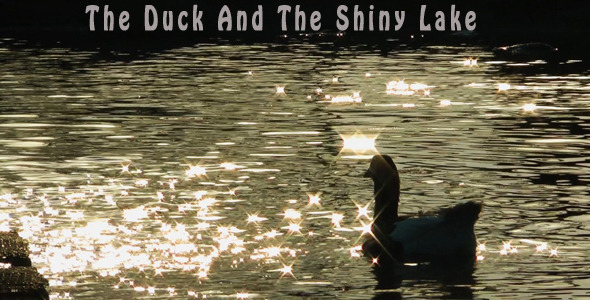 Duck and the Shiny Lake