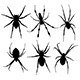 Spider Silhouette  - GraphicRiver Item for Sale