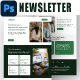 Financial Solutions Email Newsletter PSD Template - GraphicRiver Item for Sale