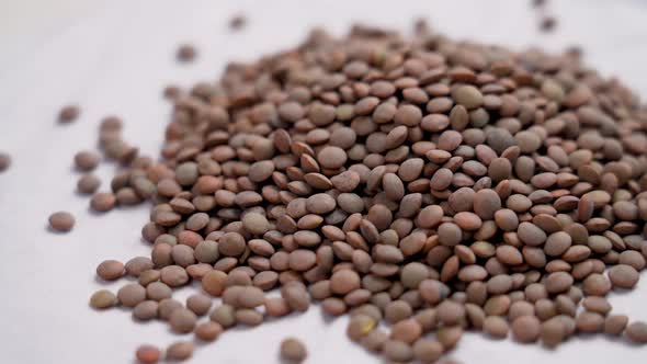 Brown raw lentils close-up. Uncooked legumes on white paper. Falling in slow motion