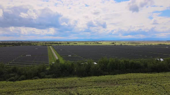 Aerial View of Big Sustainable Electric Power Plant with Many Rows of Solar Photovoltaic Panels for