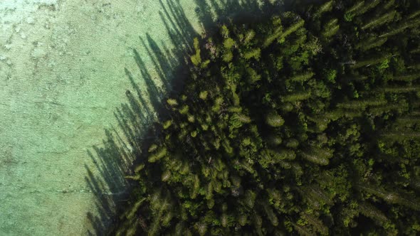 Straight down view of the forested coastline of the Isle of Pines then revealing the beach, turquois