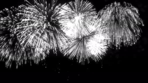 Looping Matte Isolated Fireworks