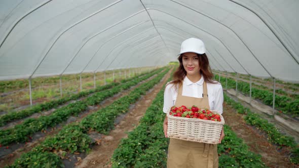 Beautiful Woman Holding Basket with Strawberries