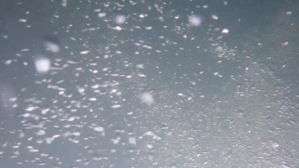 Stunning air bubbles in a rushing clear river.