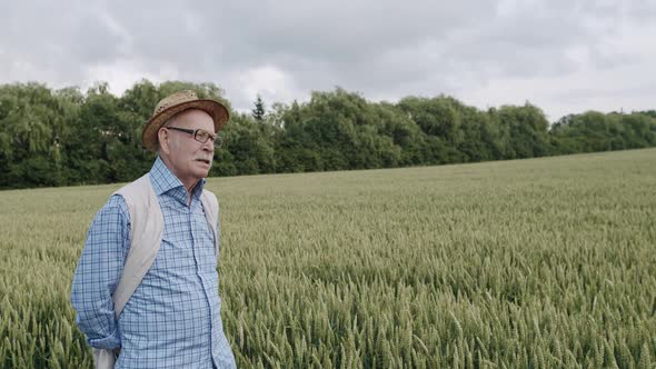 Thoughtful Senior Farmer Walking in Gwheat Field Looking Far and Talking Easily