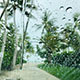 Rain Ambience 6