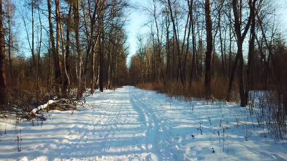 Frost And Sun In Mazurino Park 19