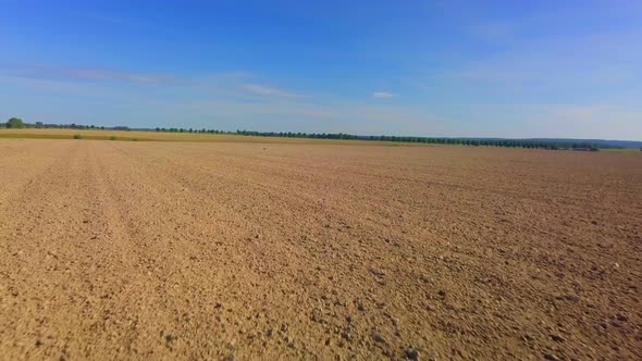 Plowed Field Autumnal Not High Flight Over Field