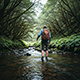 Gentle Steps Across Jungle Stream