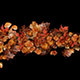 Autumn Leaves Particles Motion Path no Plugins - VideoHive Item for Sale