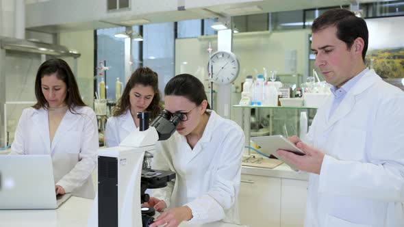 Team of scientific researchers working together in laboratory