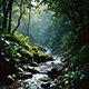 Gentle Mountain Stream and Serene Jungle with Crickets Patharia Forest