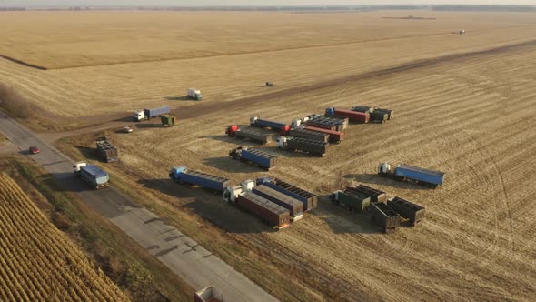 Farm Machinery Harvesting Wheat Crop