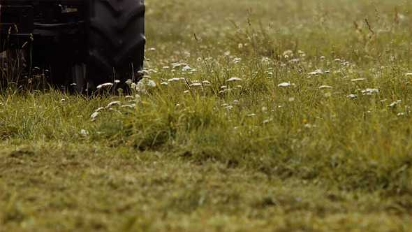 Tractor Cutting Grass 