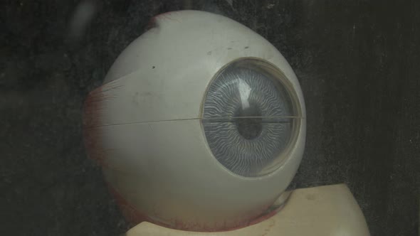 Close up of an eye sculpture