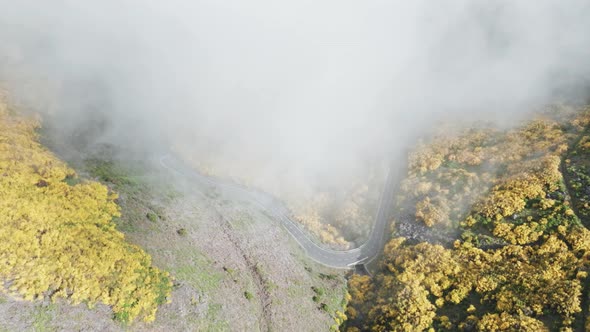 Foggy Sky Over Mountain Road At Pico do Arieiro In Madeira Island, Portugal. Aerial Drone Shot