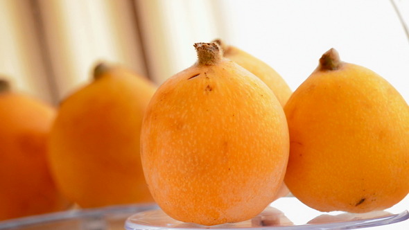 Loquat Fruit Gyrating