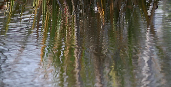 Surface Reflection Abstract 5