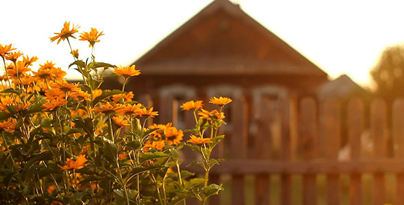 Flowers And Old Country House