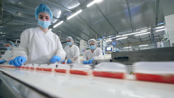 Fish Food Production Unit with Female Employees at Work, Factory Workers Assembling Products