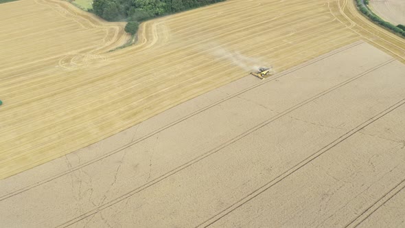 Aerial shot of combine harvester machine harvesting wheat