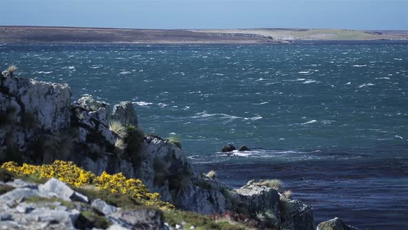 Rough Sea In the Falkland Islands (Islas Malvinas).