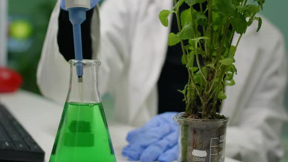 Closeup of Botanist Woman Using Micropipette for Taking Genetic Liquid Putting on Sapling