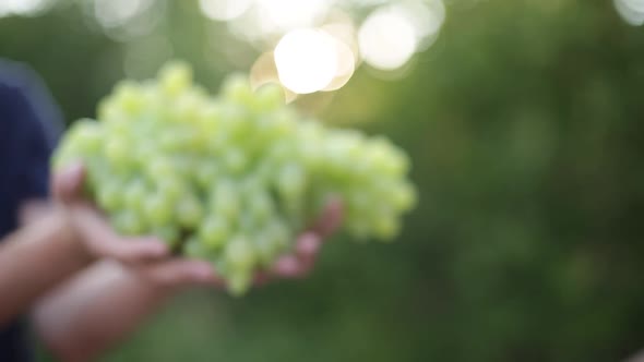 A handful of grapes