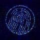 Digital Fingerprint Data - VideoHive Item for Sale