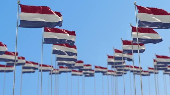 Netherlands Row Of National flags Walk Throw Animation
