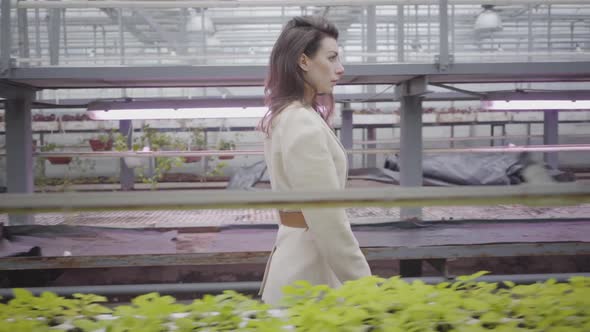 Gorgeous Brunette Caucasian Woman Walking Along Rows of Plants in Glasshouse. Elegance, Lifestyle