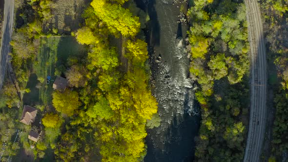 flying over river with green trees turning yellow in autumn, top down