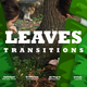 Leaves Transitions - VideoHive Item for Sale